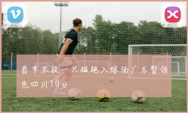 首节末段一只猫跑入球场广东暂领先四川10分